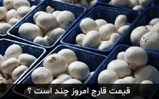 قیمت روز قارچ فله و بسته بندی